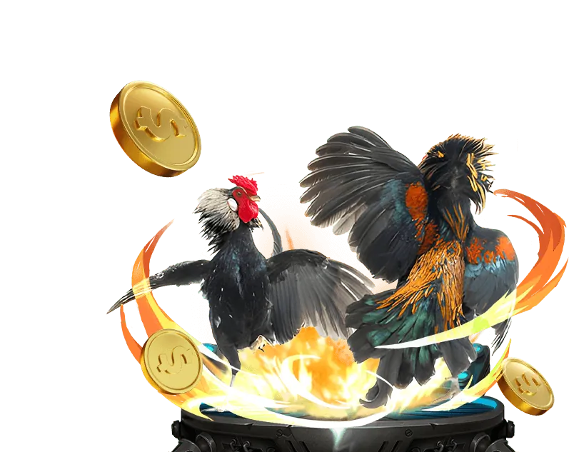 Tuân thủ quy định tại Ku Casino